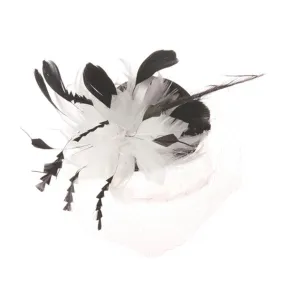 Something Special - Feather and Lace Fascinator